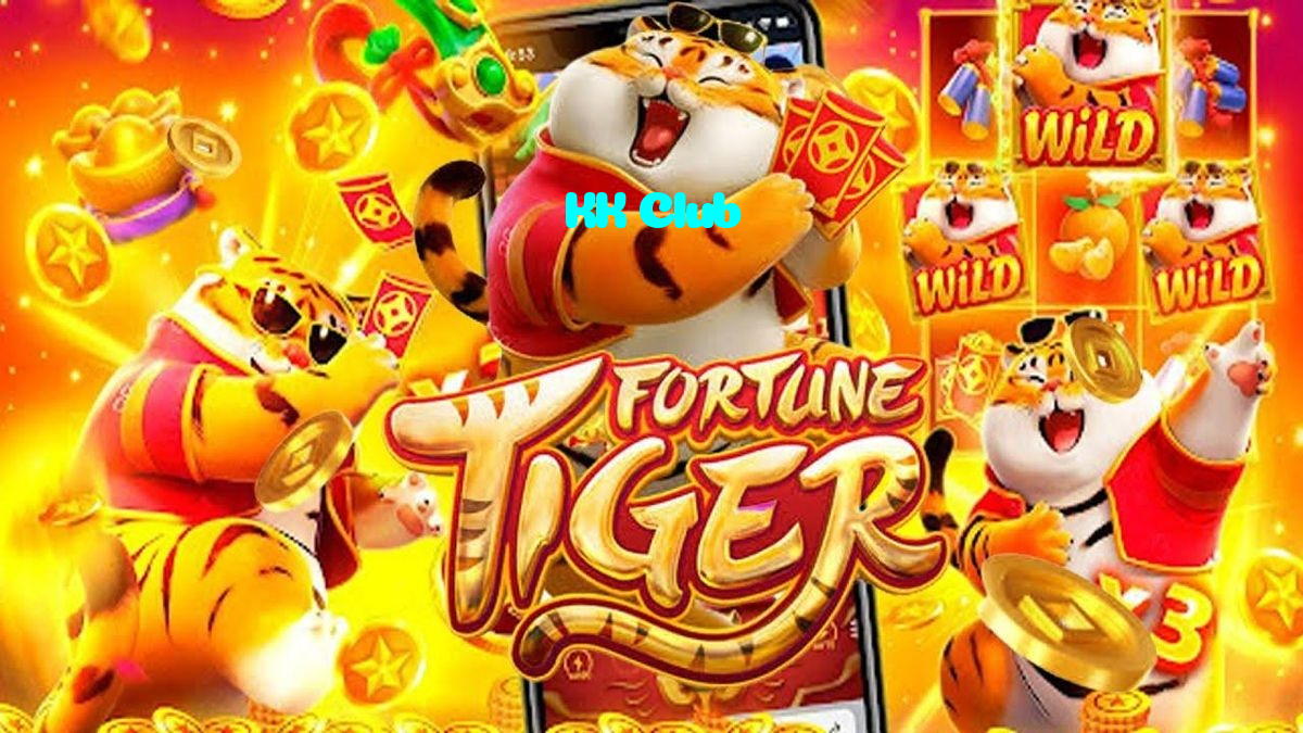 available types of KK Club bet including pre-match live express and system bets